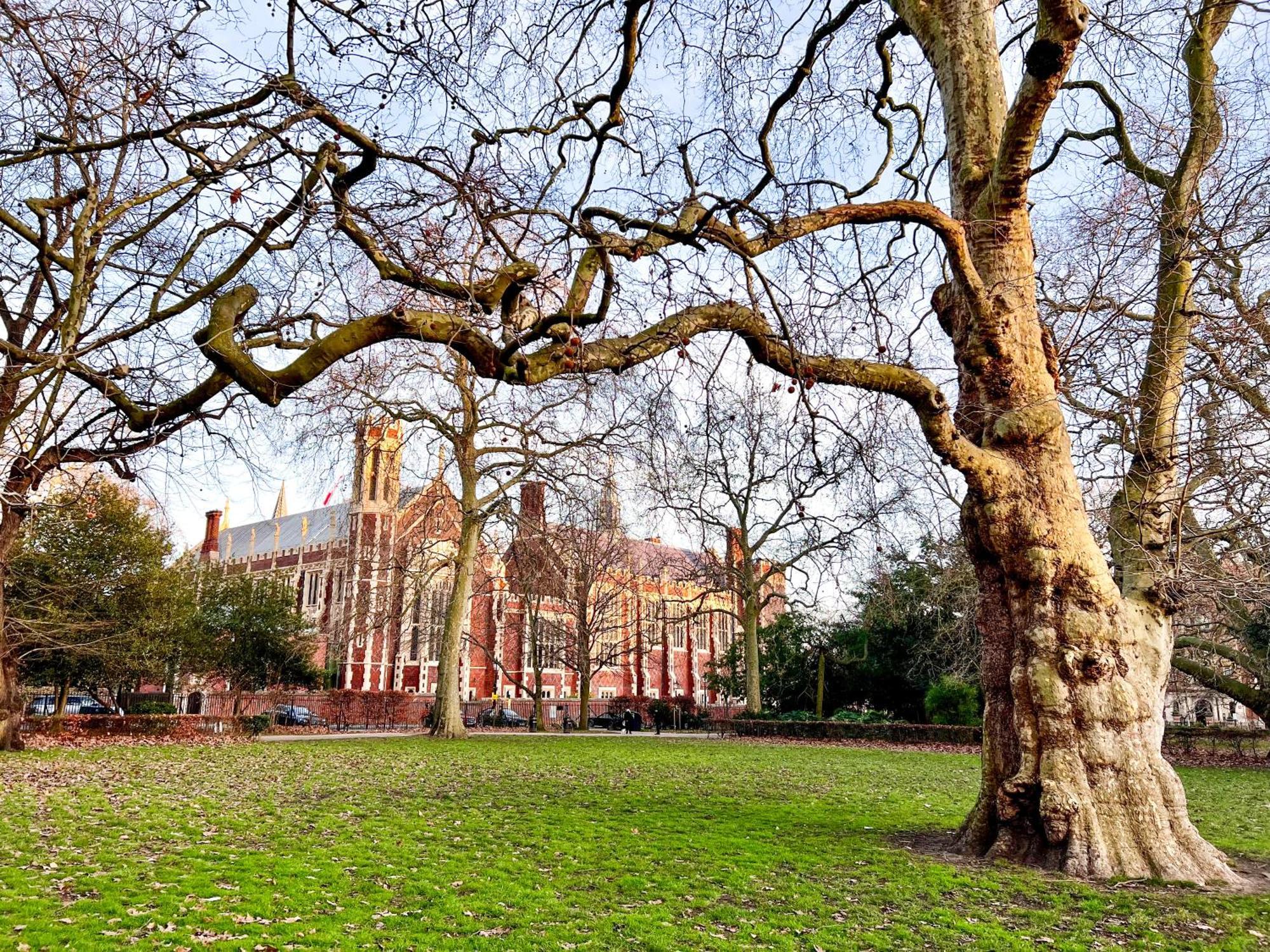 Excellent Entire Apartment Between St Pauls Cathedral And Covent Garden Londra Esterno foto